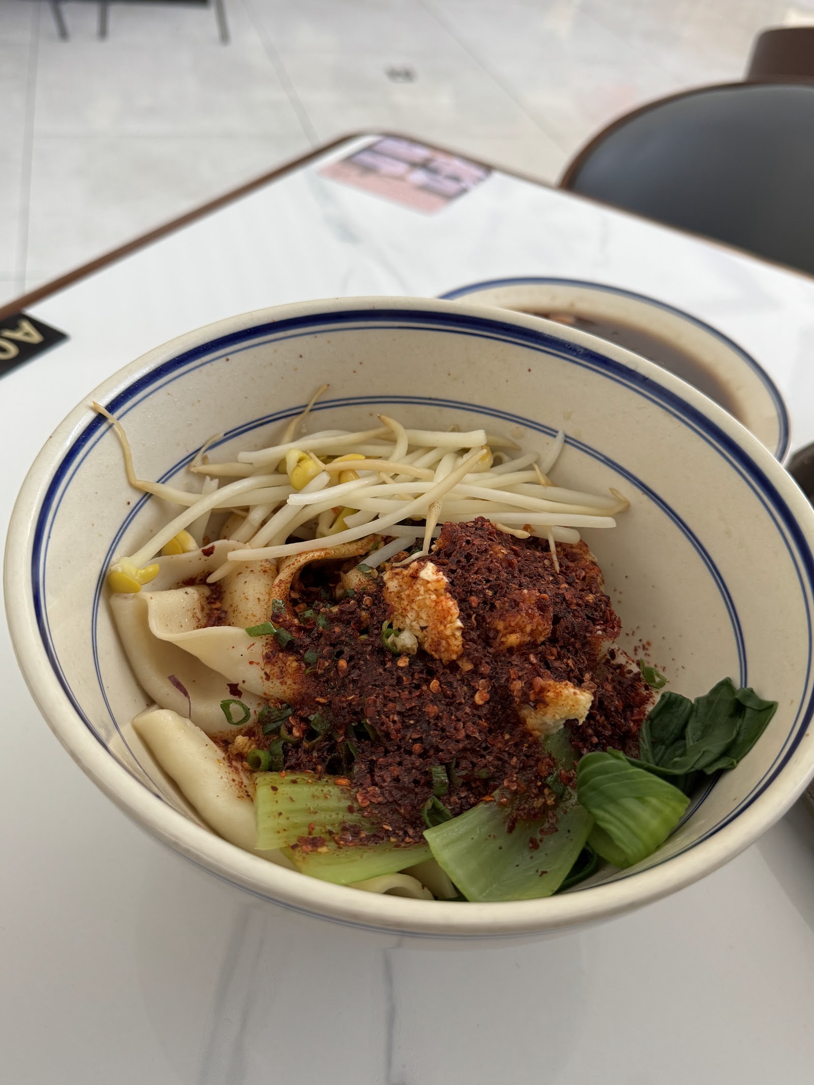 YUNUS Soup Dumplings 西安灌汤包 9